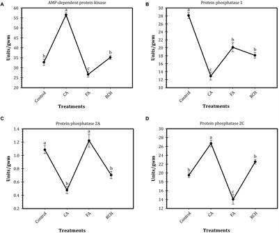 Cold Acclimation of Trogoderma granarium Everts Is Tightly Linked to Regulation of Enzyme Activity, Energy Content, and Ion Concentration